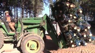 Christmas Tree Harvest at Dutchman Tree Farms [upl. by Niamert101]