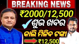 KALIA YOJANA NEW UPDATE  PM KISAN YOJANA NEW UPDATE  କୃଷକ ଓଡ଼ିଶା ପଞ୍ଜୀକରଣ  EKYC START ODIA [upl. by Ennailuj]