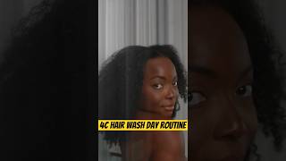 My 4C Hair Wash Day Routine with Maria Nila 🧖🏾‍♀️🫧  Coco Bassey [upl. by Grussing]