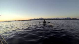 Orca Fun  Kayaking with Killer Whales [upl. by Borroff863]