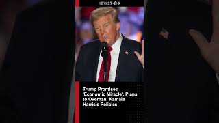 Trump Promises Economic Miracle Plans to Overha [upl. by Flemings]