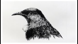 How to make a bird etching [upl. by Myrah]