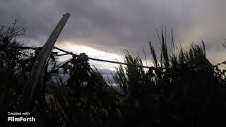 Pink foot goose shooting in Scotland with the Newport boys [upl. by Asusej129]