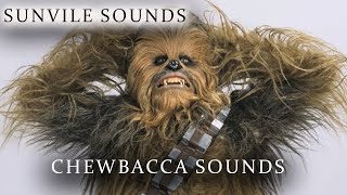 Star Wars Chewbacca  Funny Sounds with Peter Baeten [upl. by Eilyab321]