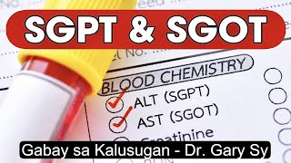 Understanding SGPT amp SGOT  Dr Gary Sy [upl. by Downey]