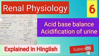 Acid base balancerenal acidification of urinerenal physiologymbbs [upl. by Acirderf150]