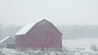 13 When the farm is hit by a snowstorm the falling snow and the sound of the cold wind quickly rela [upl. by Attener]