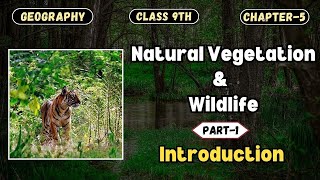 Natural Vegetation amp Wildlife  Introduction Part1  CBSE Class 9th  Geography Chapter5 [upl. by Taite]