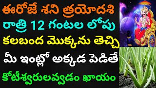 ఈరోజు శనిత్రయోదశి కలబంద మొక్కను అక్కడనుండి తెచ్చి మీఇంట్లోపెడితే కోటీశ్వరులవుతారు వద్దన్నాడబ్బేడబ్బు [upl. by Terina]