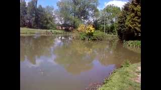 Melverley Farm Top Pool [upl. by Catherina]