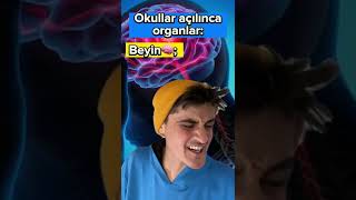 Okullar açılınca organlar [upl. by Oicnecserc309]