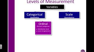 SPSS Understand Ordinal Nominal amp Scale aka Level of measurment [upl. by Barn461]