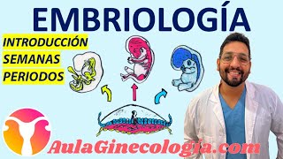 EMBRIOLOGÍA DE LA CONCEPCIÓN AL🤰🏻 NACIMIENTO🚼 Con FRANCO KELLY  Ginecología y Obstetricia [upl. by Thorncombe]