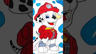 Paw Patrol Chase Marshall Rubble Skye Zuma Rocky Faces Rescue Dogs Coloring for Kids shorts [upl. by Ellswerth]