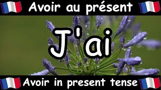 AVOIR To Have Conjugation Song  Present Tense  French Conjugation  Le Verbe AVOIR [upl. by Ellebanna]