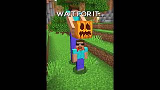 Proboiz Funny Sigma Moment in Minecraft [upl. by Ainad]