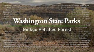 Ginkgo Petrified Forest State Park [upl. by Claudian]