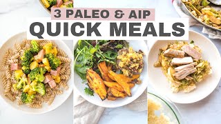 Quick Paleo amp AIP Meals  30min recipes [upl. by Alys]