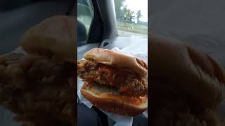 KFC SPICY CHICKEN SANDWICH [upl. by Allcot813]