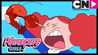 Powerpuff Girls  Princess Morbucks VS Captain Buttercup  Cartoon Network [upl. by Eberle]