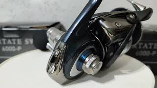 2022 Daiwa Certate SW 6000P Power Gear [upl. by Eiahpets]