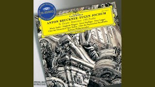 Bruckner Virga Jesse Motet  WAB 52 [upl. by Affer]