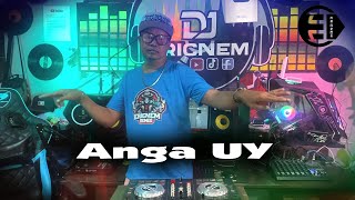 Anga Uy Budots Remix  Dj Ericnem [upl. by Anairt854]