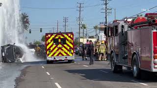 Inglewood Tesla Vs Hydrant [upl. by Anirbed]