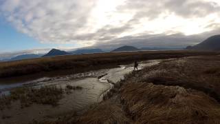 Stikine River Alaska Duck Hunt Oct 2013 [upl. by Odlanra]