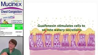 Expectorants Guaifenesin [upl. by Kirch]