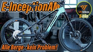 Ein EFully für Alles EInception AM 87 GTF  vitbikesTV [upl. by Goldia]