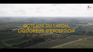 Coteaux du Layon liquoreux dexception [upl. by Ahsinauj]