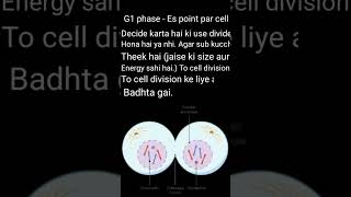 Cell Cycle Uncovered Exploring the G1 and G2 Phases cell genetic meterial viralvideo viralshor [upl. by Asital464]