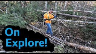 Hors sérieVisitez notre terre à bois avec nous [upl. by Siuraj]