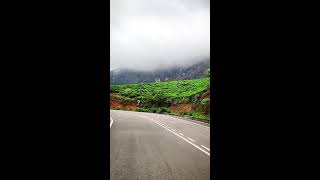 Bike Road Trip 🏍️ Travel to Munnar Tea Plantations 🥰 Beautiful Nature Hill Station 🥰 Kerala ❤️ India [upl. by Frederiksen103]