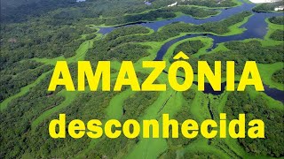 Amazônia Desconhecida  Documentário  DUBLADO  HD  Discovery Channel [upl. by Kristopher984]