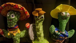 Yodeling Cactus and Pickle Family [upl. by Clift94]