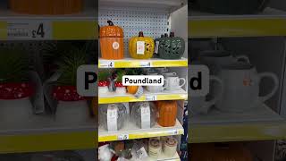 Poundland shopping [upl. by Hsirehc747]