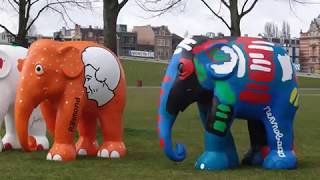 Worlds Biggest Art Exhibition Londons Elephant Parade [upl. by Niko838]