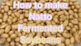 how to make Natto（fermented soybeans [upl. by Enelrak293]