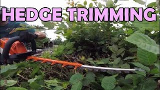 Hedge trimming  Hornbeam [upl. by End808]