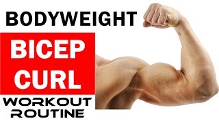 Bodyweight BICEP CURL  Workout Routine [upl. by Ahsyle908]