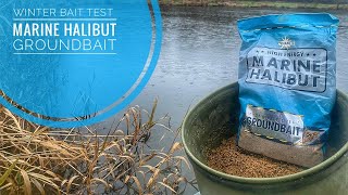 Method Feeder Fishing With Marine Halibut Groundbait  Winter Bait Test [upl. by Bathsheb]