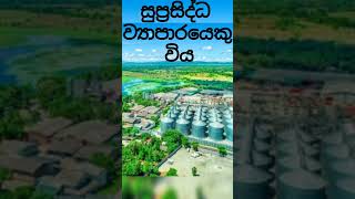 තම ව්‍යාපාරය ඉදිරියට කරගෙන යාමටවත් වත්කමක් නොතිබූ ඔහු 😇 sirisena araliya අරලිය සහල් shorts [upl. by Borman857]