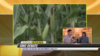 Warren Watanabe  Anti GMO Debate [upl. by Dumond]