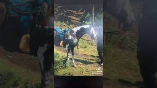 RDR2 Fox Trotter Missouri fy reddeadredemtion2 fypyoutube rdr2 gaming reddeadonline cowboys [upl. by Ociral816]