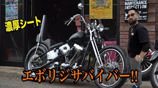 【紹介】エボリジサバイバー 濃厚キング＆クイーンシート リジット公認チョッパー エボリューション スプリンガーフォークとは 現地チョッパー 初期エボ ピーナッツタンク ボバー ショベル [upl. by Wasson168]