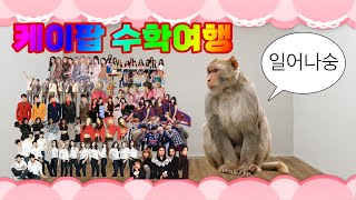 ✈️ 잼민이들의 2015  2020 케이팝 수학여행 플레이리스트 ♡ [upl. by Hufnagel]