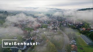 Weißenhasel im Nebel 4K [upl. by Nala]