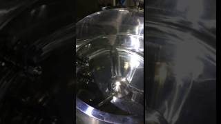 High Shear Mixer amp Granulator Impeller low speed [upl. by Philippa156]